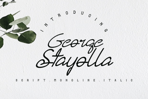 George Stayolla: A Handwritten Font for Modern, Elegant Branding